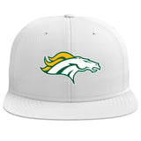 Boiling Springs Richardson PTS20 Pulse R-Flex Hat