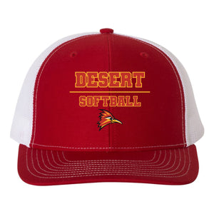 College of the Desert Fastpitch Richardson 112 Snapback Hat