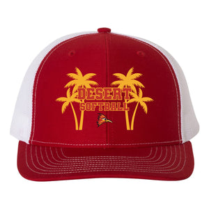 College of the Desert Fastpitch Richardson 112 Snapback Hat