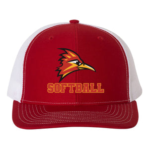 College of the Desert Fastpitch Richardson 112 Snapback Hat