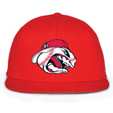 Carolina Rapid Fire The Game Perforated Game Changer
