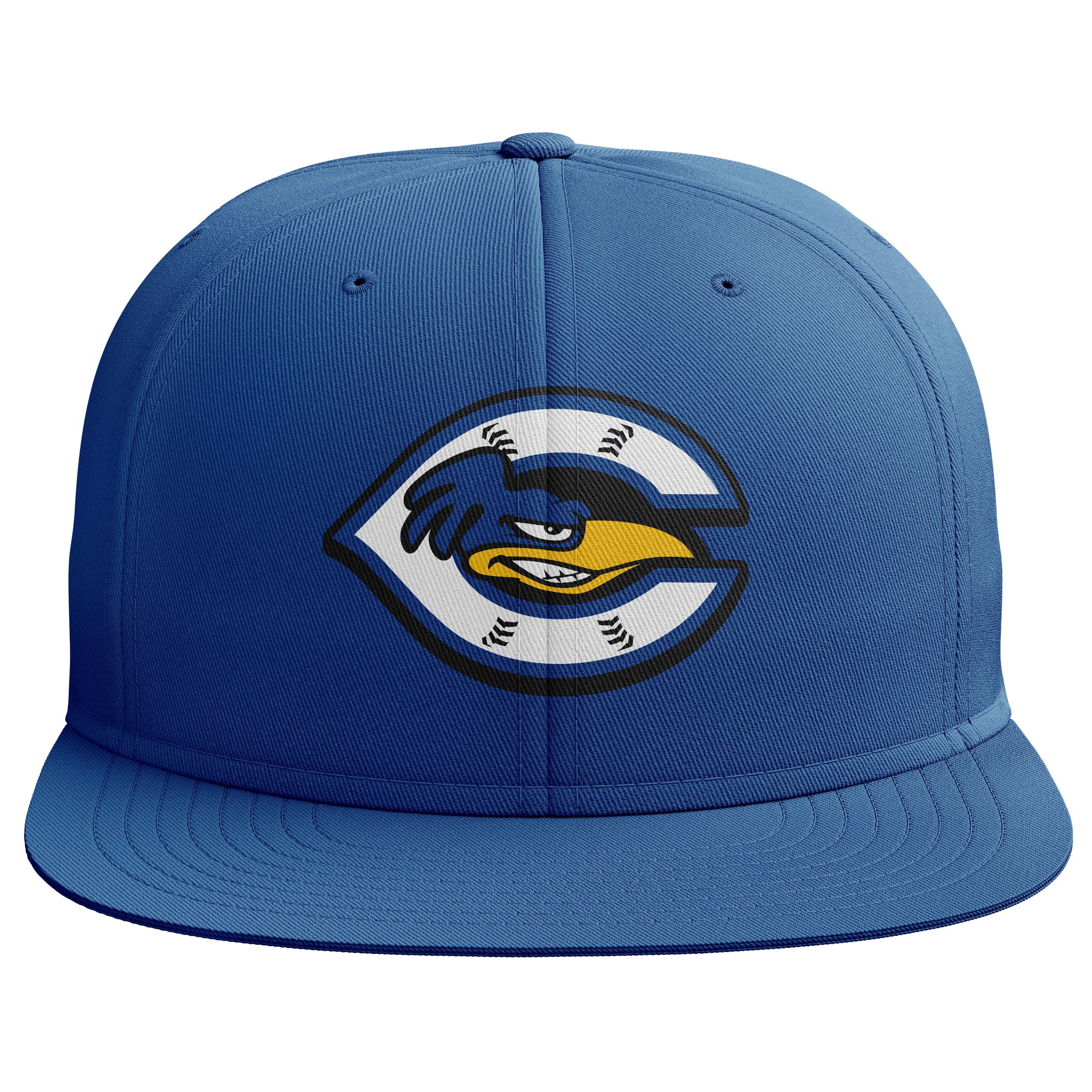 CHERRYVILLE ROADRUNNERS BASEBALL PTS20 HAT