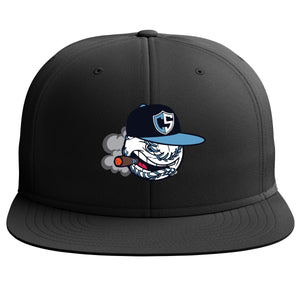 Carolina Smoke Baseball Richardson PTS20 Pulse R-Flex Hat