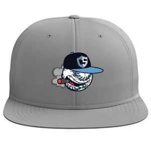 Carolina Smoke Baseball Richardson PTS20 Pulse R-Flex Hat