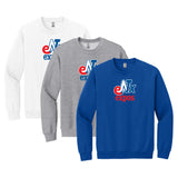 NTX Expos Baseball Gildan® Heavy Blend™ Crewneck Sweatshirt