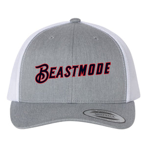 Texas Sandlot Baseball Richardson 112 Snapback Hat