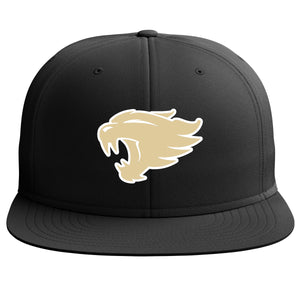 Wildcats Football Richardson PTS20 Pulse R-Flex Hat